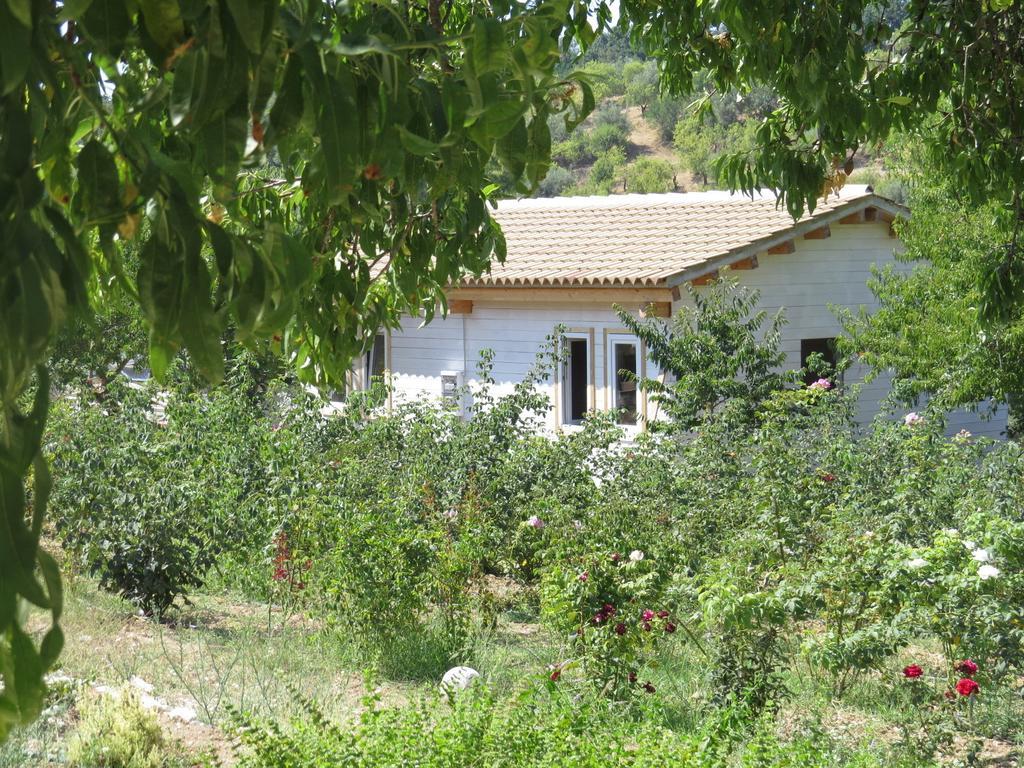 Camping Fiori Di Noto Szoba fotó