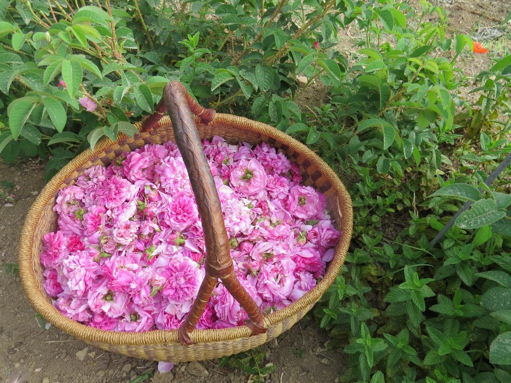 Camping Fiori Di Noto Kültér fotó