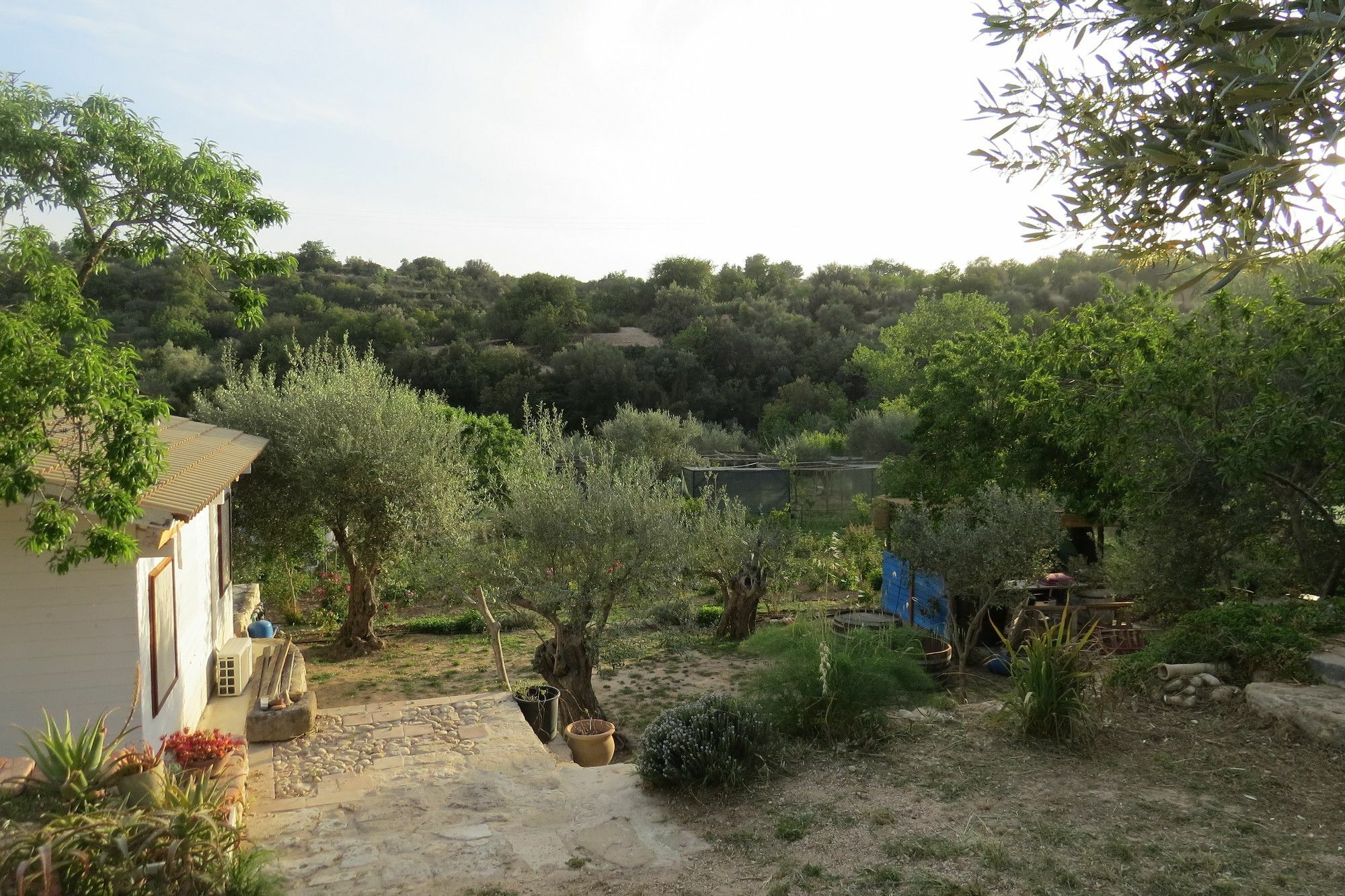 Camping Fiori Di Noto Kültér fotó