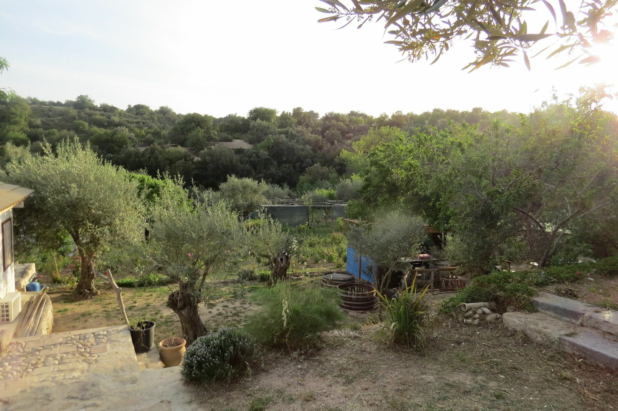 Camping Fiori Di Noto Kültér fotó