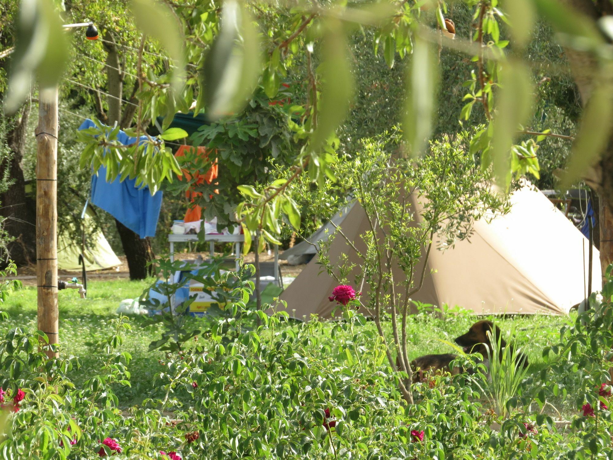 Camping Fiori Di Noto Kültér fotó